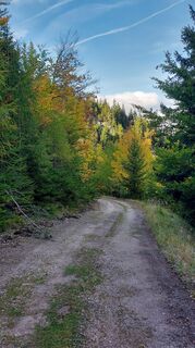 Fotografie de la Karin Svozil de-a lungul turului