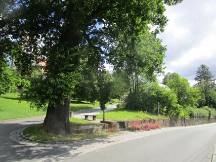 Gießlereiche Wehrsdorf