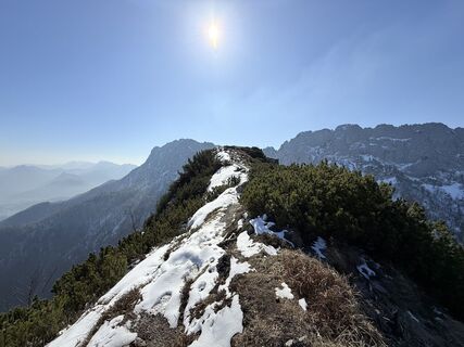 Foto von Natur_erleben_dg entlang der Tour