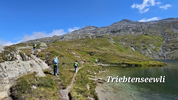 Foto från Grieshofer Gerlinde under resans gång