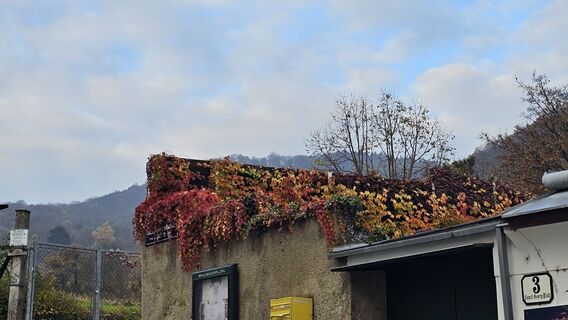 Foto von Alexandra Stani entlang der Tour