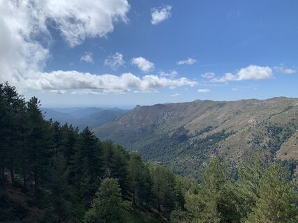Foto von Jako Koel entlang der Tour