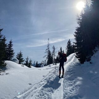 Aufstieg im Wald