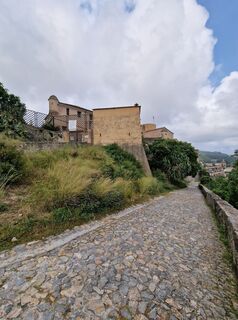 Foto från Mario Augustini under resans gång