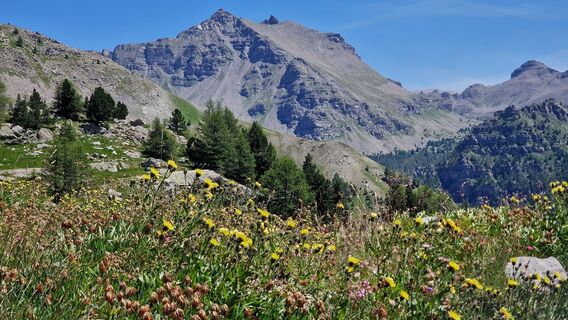 Photo de Fabrizi Mellano le long du parcours
