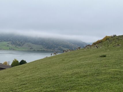 Photo de Thomas Riffel le long du parcours