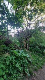 Foto de Iván Kilián a lo largo del recorrido