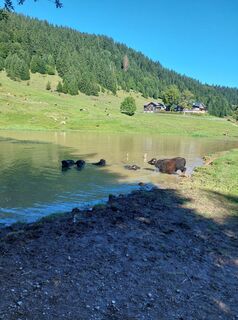 Foto da Urban Dünser lungo il tour