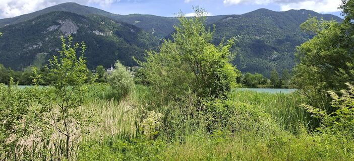 Fotografija s spletne strani Mangolein na poti