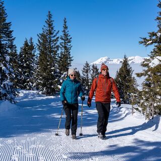 Winterwanderung Gamsalp-Mazils