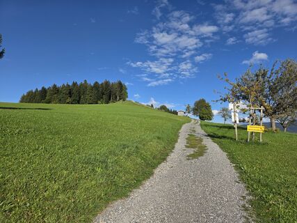 Photo de Stefan le long du parcours