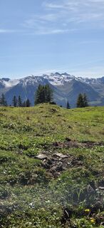 Kuva osoitteesta Andy Schennach matkan varrella