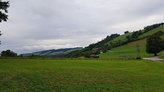 Blick nach West