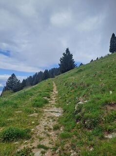 Foto von Greg+Lisa entlang der Tour