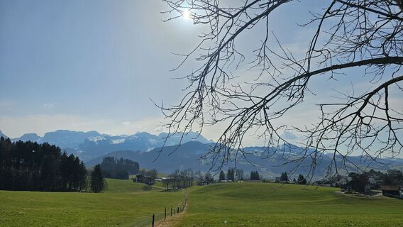 Fotografija s spletne strani Marlyse Leu na poti