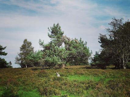 Fotografie z Milde na trase