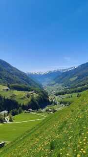 Foto von walrei entlang der Tour