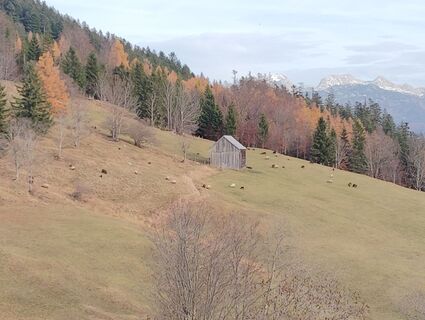 Zdjęcie z Albert Grillitsch wzdłuż trasy