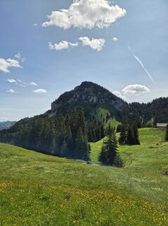 Foto från Sven under resans gång