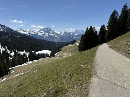 Fotografija s spletne strani Daniel Herz na poti