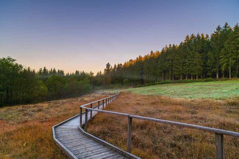 EifelSchleife Moorpfad, Steg durch Moorlandschaft