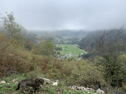 Foto von Koen De Wit entlang der Tour