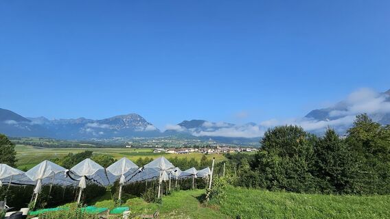 Photo de Cors van Dorp le long du parcours
