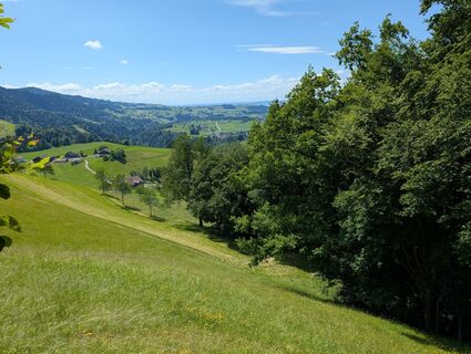 Fotografija s spletne strani Iryna na poti