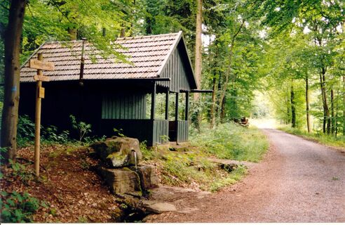 Unterwegs am Brunnenweg | Pfaffenhofen | HeilbronnerLand