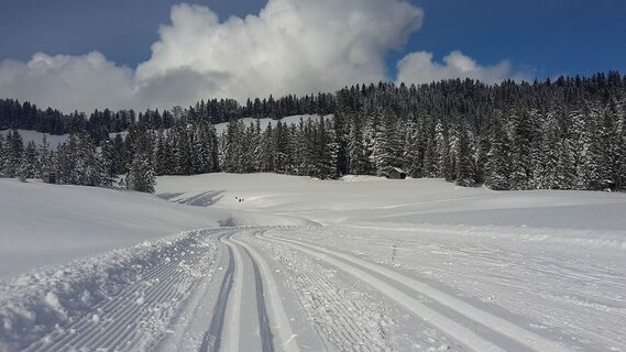 Idyllisch gelegene Loipe Hochhäderich
