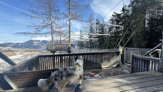 Foto von Steve Nipoli entlang der Tour