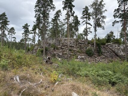 Photo de Jako Koel le long du parcours