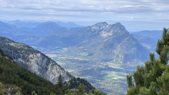 Photo de Mountain Cat ? ⛰️ le long du parcours
