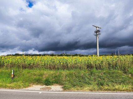 Foto von Kloot entlang der Tour