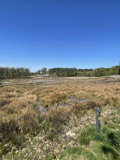 Fotografija s spletne strani René Reichert na poti