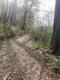 Zdjęcie z Tilen Kores wzdłuż trasy