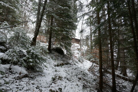 die Jagdhütte schon in Sicht