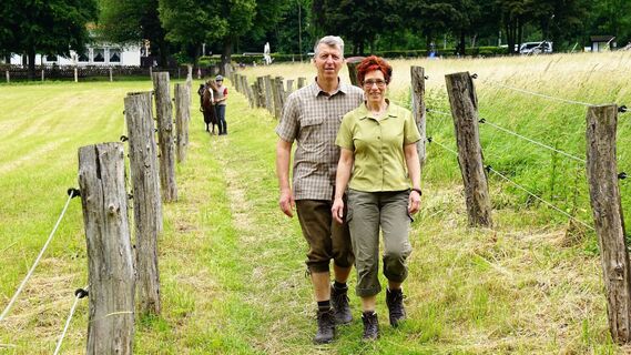 Auf dem Reitlingswiesen-Rundweg