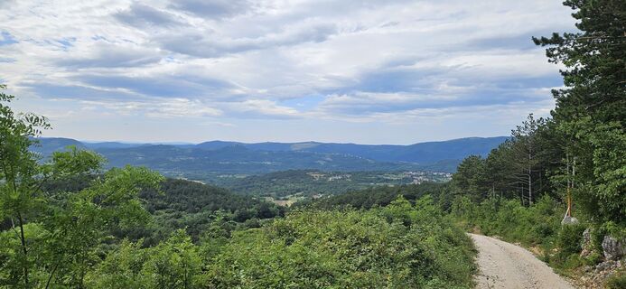 Fotografia z Daniel Wohlmuth na trase