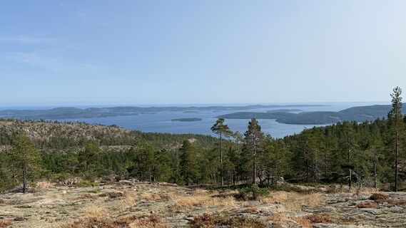 Foto von edefreak entlang der Tour