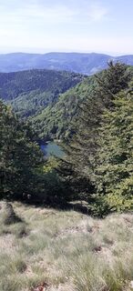 Fotografija s spletne strani Bernard Piat na poti