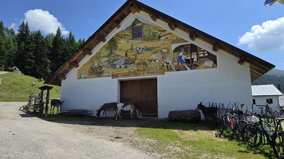 Fotografie de la ChrisWe de-a lungul turului