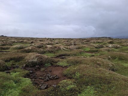 Foto von Mike the hike entlang der Tour