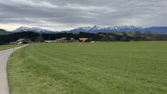 Fotografija s spletne strani peter_oe na poti