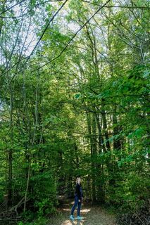 Wandeln am Lustbühle