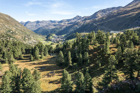 Zirbenwald Obergurgl