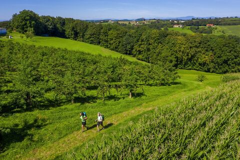 Unterwegs ziwischen Unterlamm und Riegersburg