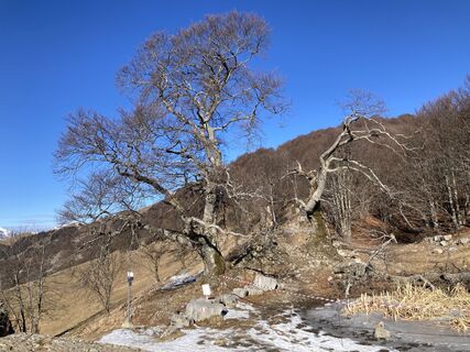 Fotografia z Marilena Locatelli na trase