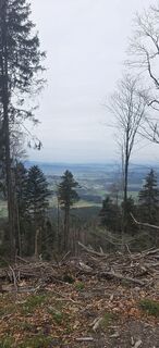 Foto von Michael Steiniger entlang der Tour