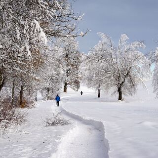 Winterwanderung am Reintalersee
